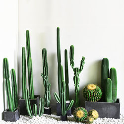 Artificial Cactus Column Made of Green Pu Material for Decoration and Window Display