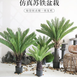 Large Simulated Cycad Potted Floor-Standing Fake Iron Tree Plant Bonsai Indoor Shop Window Scenery Decorative Green Plants