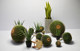 Fake Cactus, Cactus Column, Potted Cactus, Shop Window Soft Decoration, Indoor and Outdoor Artificial Green Plant Landscaping Ornaments
