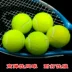 Đào tạo quần vợt đơn thực hành linh hoạt siêu kháng tốt để chơi cạnh tranh thực hành chó chó cắn cắn đồ chơi mol Quần vợt
