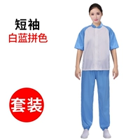 Белый синий рукав [короткие рукава]