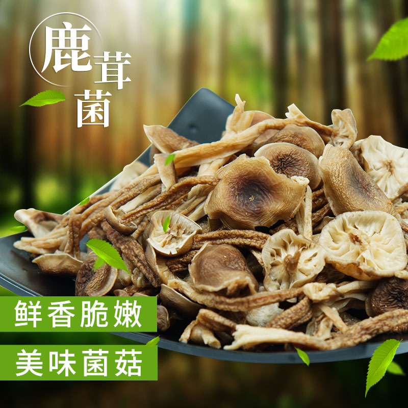 Tianqi Yunnan deer antler dry goods deer antler mushroom super fresh non-wild primary color sulfur-free 100g soup ingredients