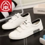Giày nam 2019 xuân mới Velcro giày vải trắng giày sinh viên phiên bản Hàn Quốc của giày trắng hoang dã - Plimsolls giày chạy bộ nam xtep