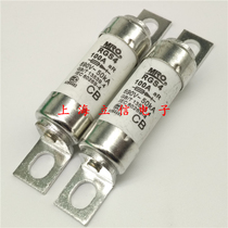 RGS4 Hot melt MRO ceramic fuse AR round tube bolt connection fast fuse 100A 660V 690V