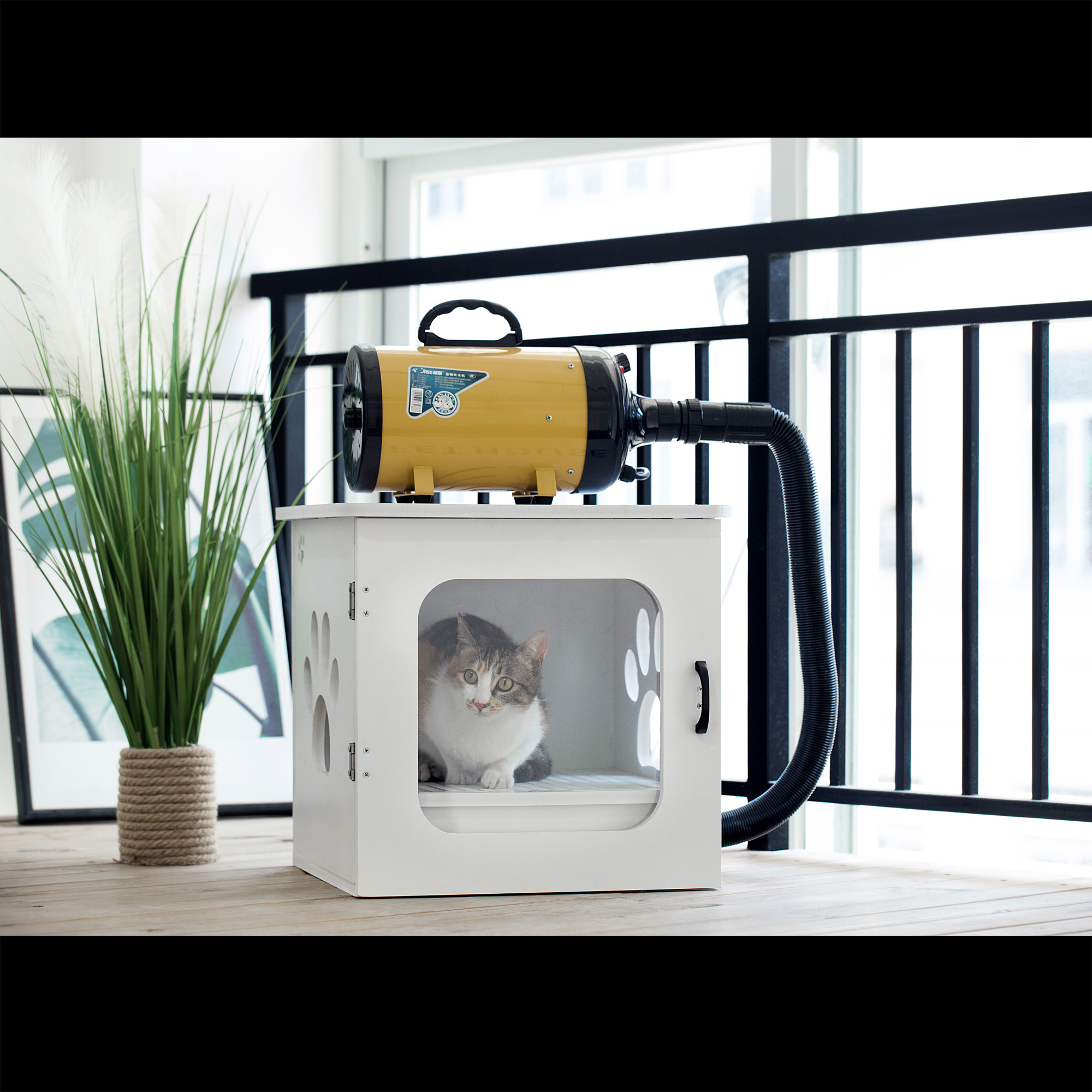 Intelligent drying box pet cat dog small dog bath hair automatic blowing aquatic property bed cat house house