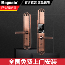 Giant fingerprint lock home security door Chinese villa door retro copper door combination lock double door smart door lock