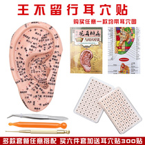  Send a picture of ear points press the king and leave no trace Seed stickers ear points pressure beans ear beans ear stickers ear probe acupuncture points model