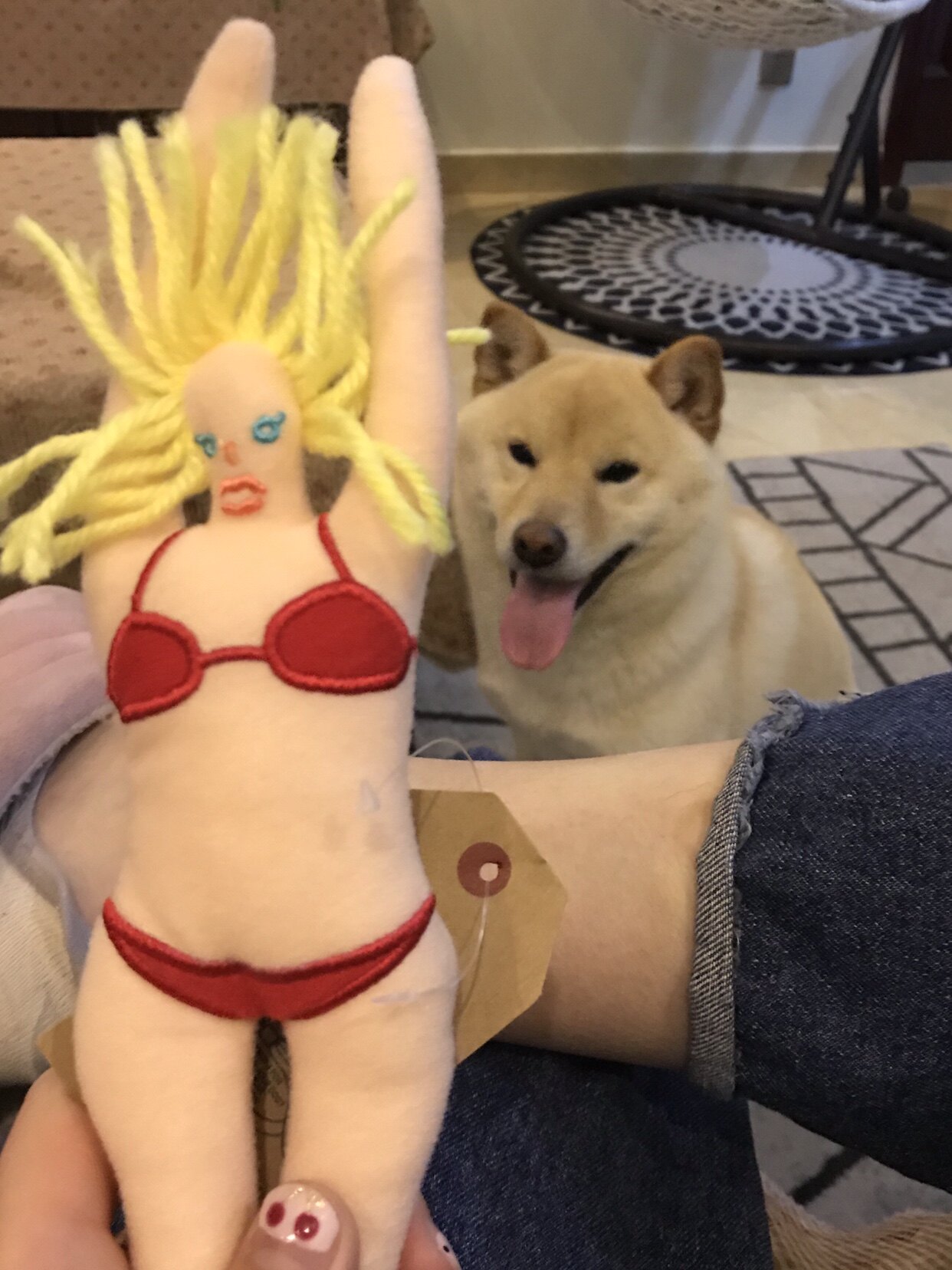 Funny net red pet dog dog toy bikini sound paper photo bite resistant funny ins props supplies do not sound