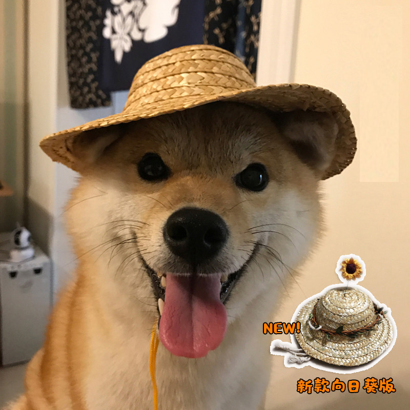 Japanese pet straw hat hat sunshade funny farmer hat adjustable cat dog photography props party accessories
