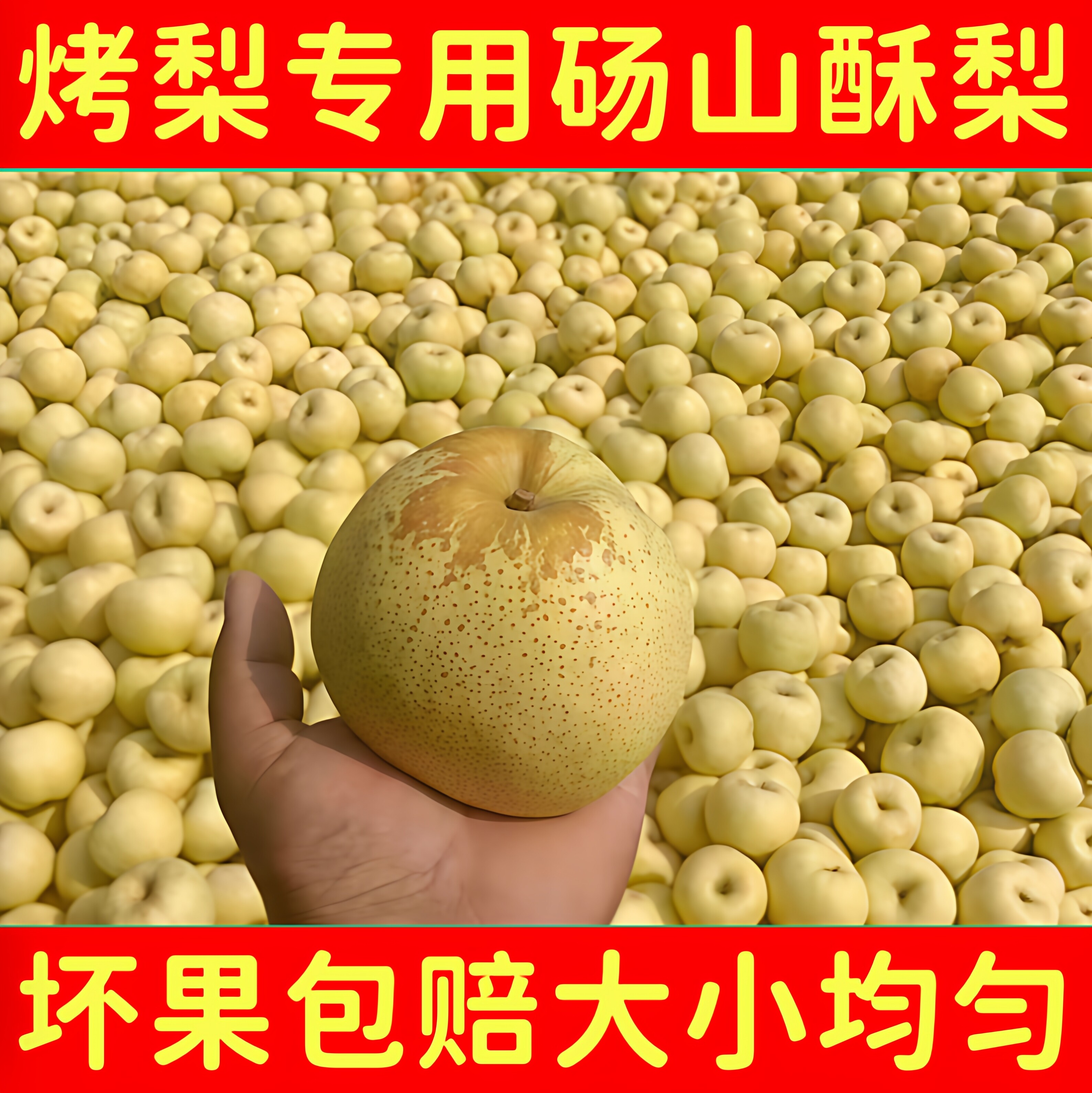 老彭果园直供的LOGO