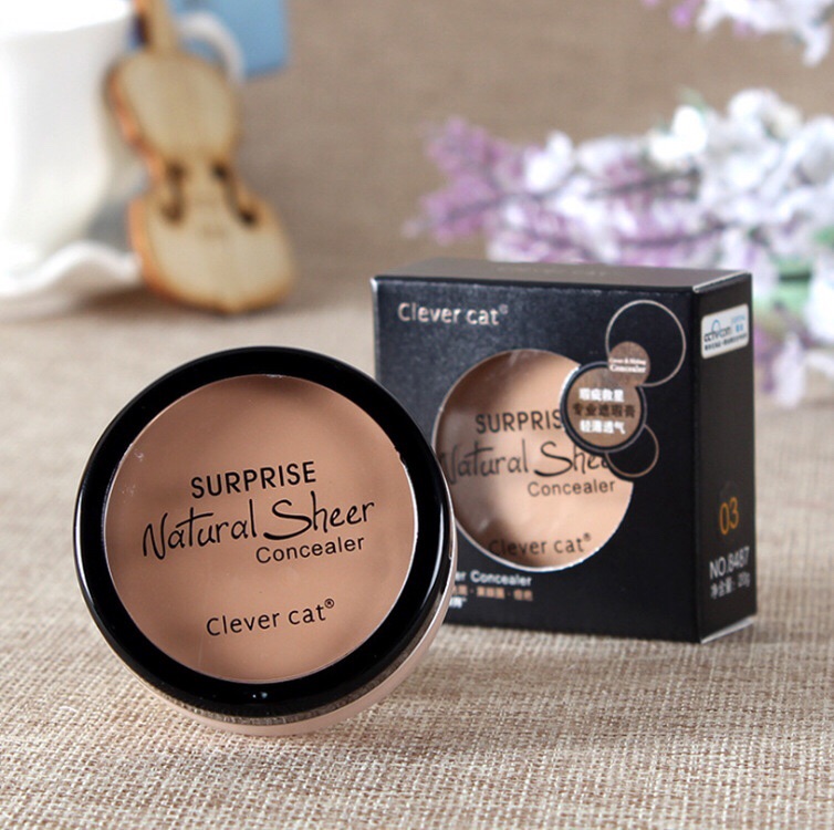 Smart Cat Flawless Retouching Concealer Foundation Covers Acne Spots