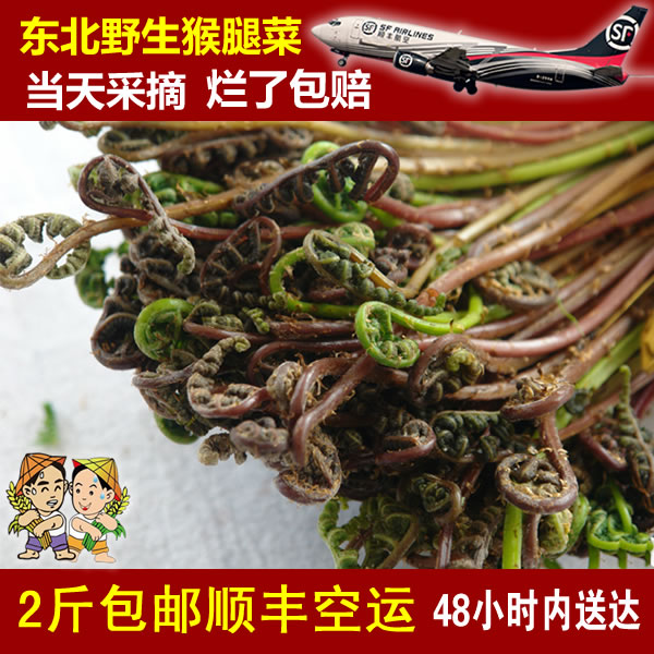 Northeast mountain fresh monkey leg fern wild mountain vegetables green 500g 2 servings of SF air transport