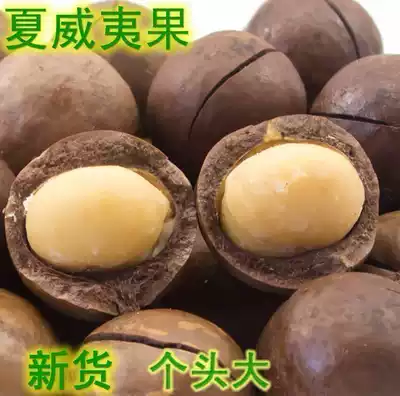 Macadamia New milk flavor Nuts fried snacks Dried fruit feeder 500g