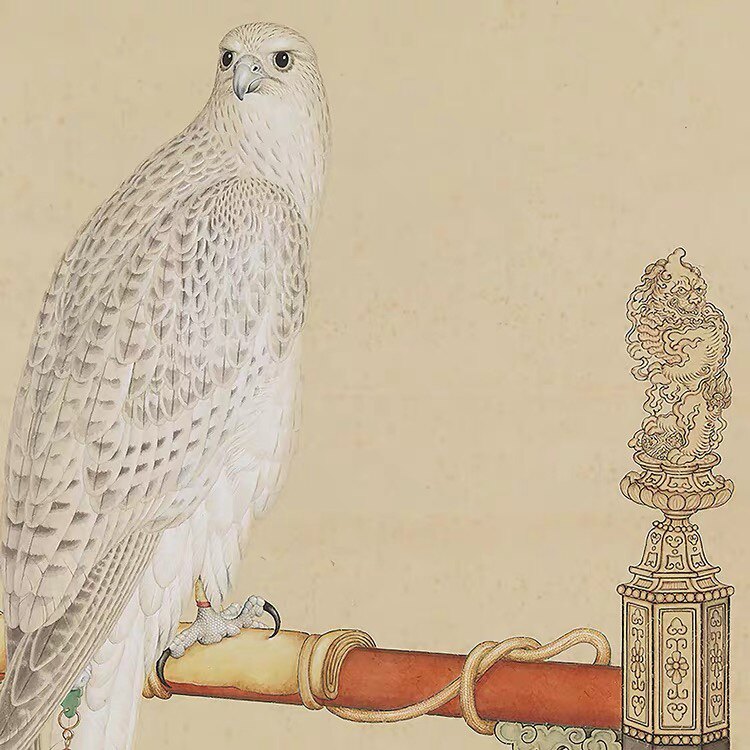 清 郎世宁 画白海青 真迹复制品37x77cm台北故宫藏清代画院花鸟画
