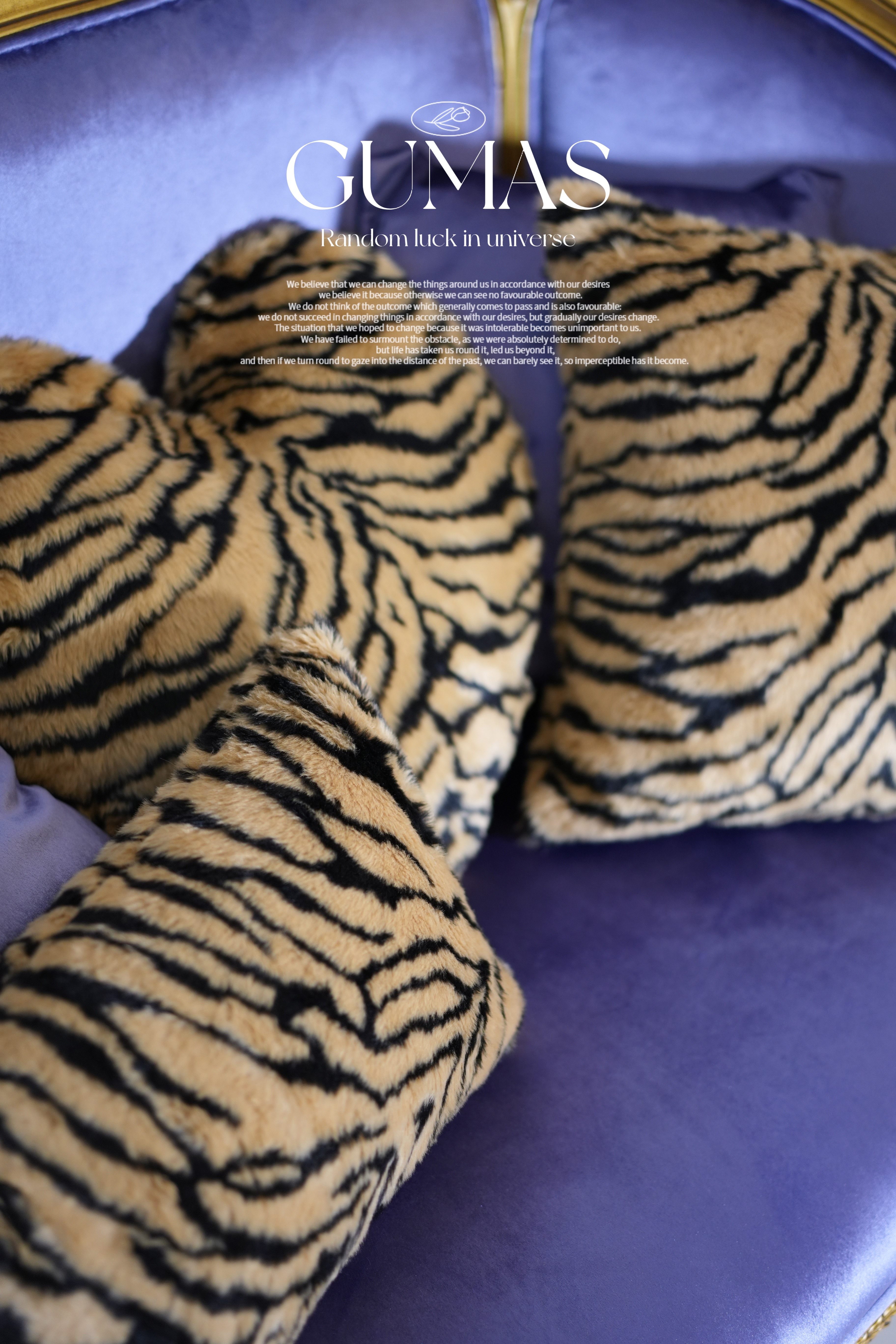 Product detail image