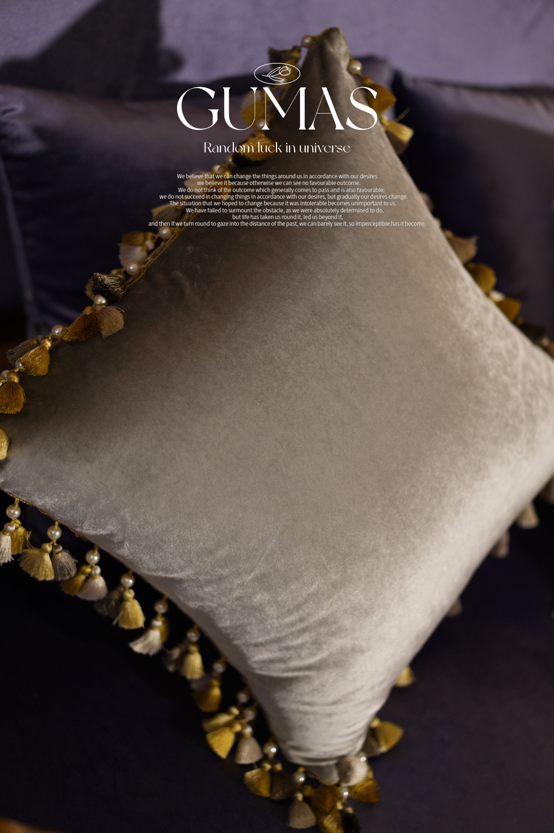 Product detail image