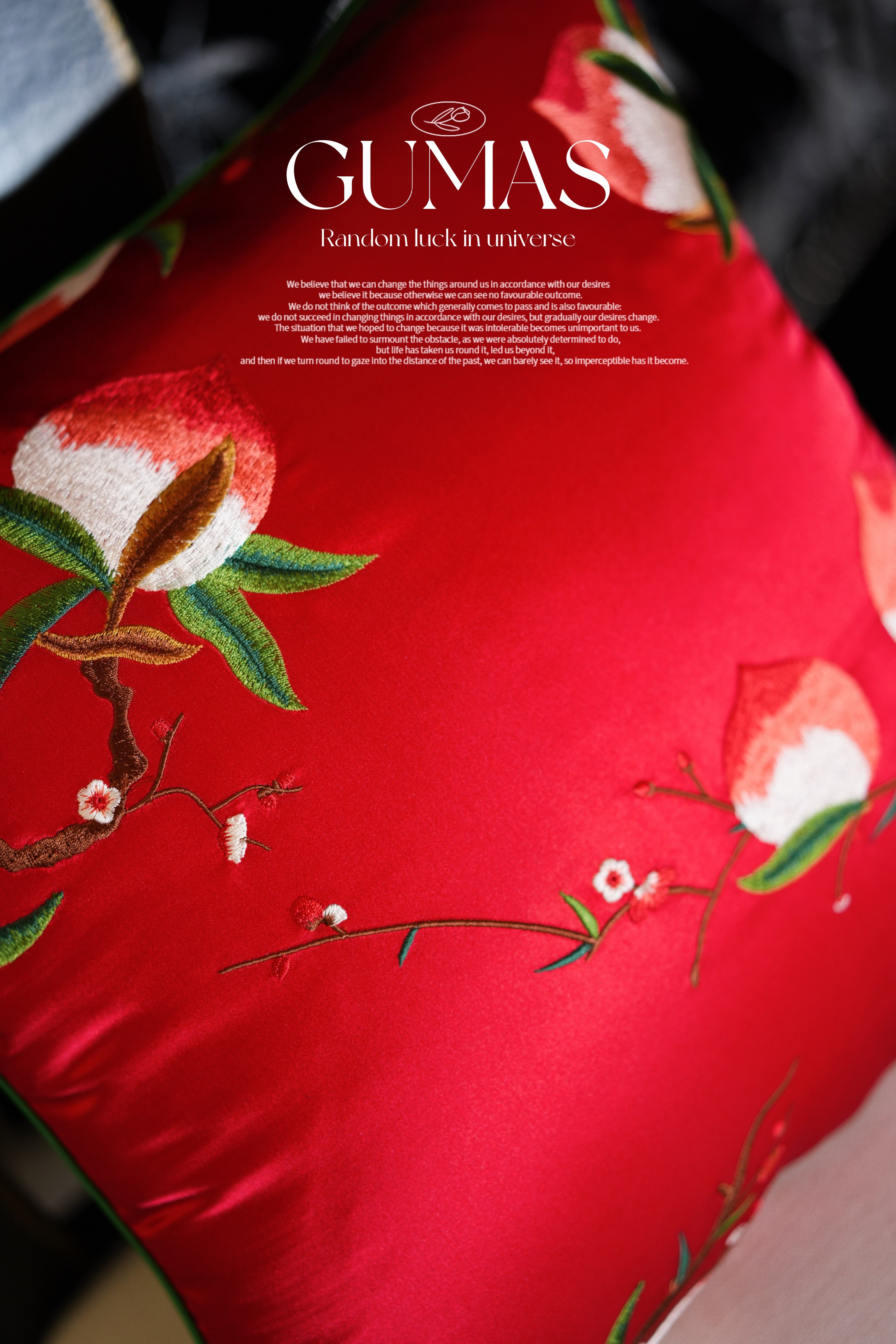 Product detail image