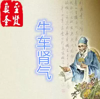 (True Supreme Sage)Ox Cart Kidney Qi wan
