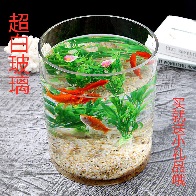 Ultra-white thickened size glass cylindrical fish tank living room home floor-to-ceiling vase round cylindrical hydroponic straight tube