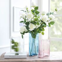 Light luxury vase Transparent glass ornaments Living room flower arrangement Dried flowers small creative simple Nordic ins Feng Shui raising net red