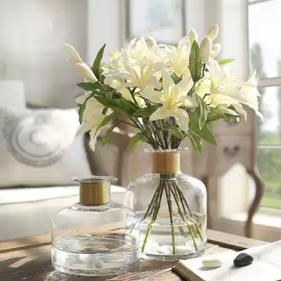 Light luxury transparent glass vase household surface desktop flower arrangement bottle creative model room decoration flower vase small caliber vase
