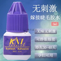 KNLs own open eye cultivation Grafted Eyelash Glue dry odorless No irritation Anti-allergenic persistent pregnant woman available