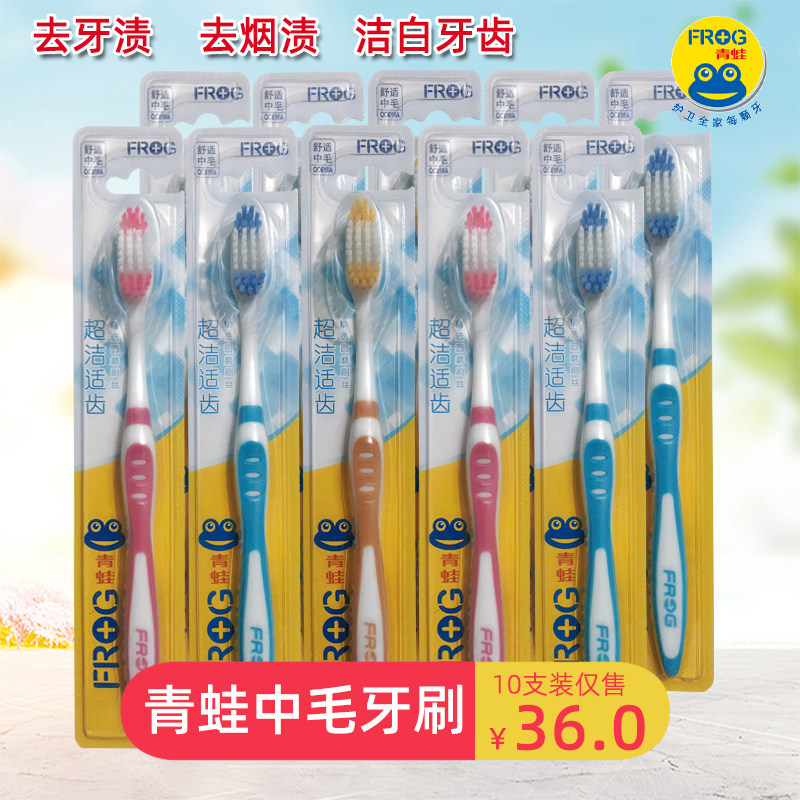 Frog toothbrush medium hair 10 pieces medium hard hair adult men to remove cigarette stains tooth stains whitening household family pack