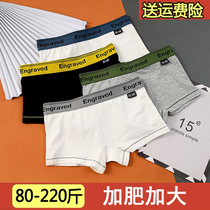 Womens handsome Tles pure cotton plus fat plus 200 pounds trendy wide-brimmed mid-waist large size sports boxer briefs