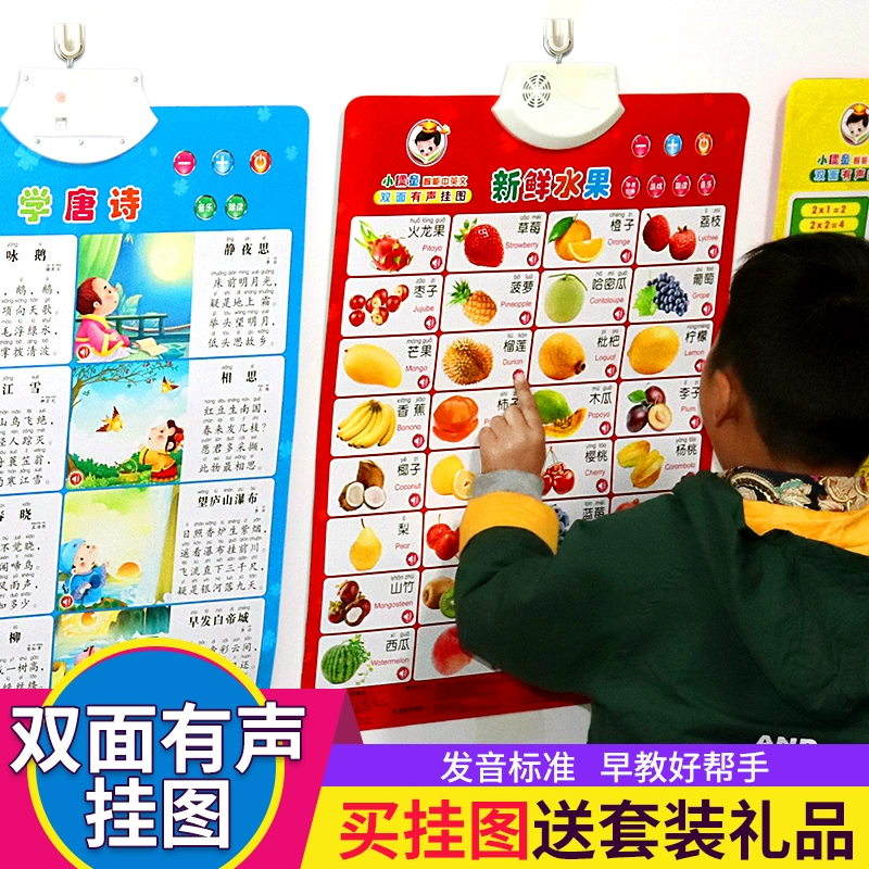 Hanyu Bính âm Giáo dục sớm Âm thanh Biểu đồ treo tường Biểu đồ dán tường Trẻ nhỏ nhìn vào hình ảnh bé biết đọc sách Khai sáng âm thanh Thẻ đồ chơi nhận thức - Đồ chơi giáo dục sớm / robot