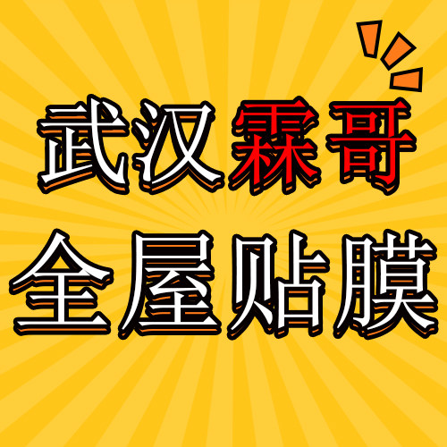 武汉霖哥全屋贴膜的LOGO