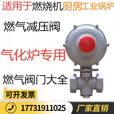 Gas gasifier gasifier pressure regulating valve Liquefied gas pressure stabilizing valve Hotel pressure regulating valve regulator RTZH pressure reducing valve