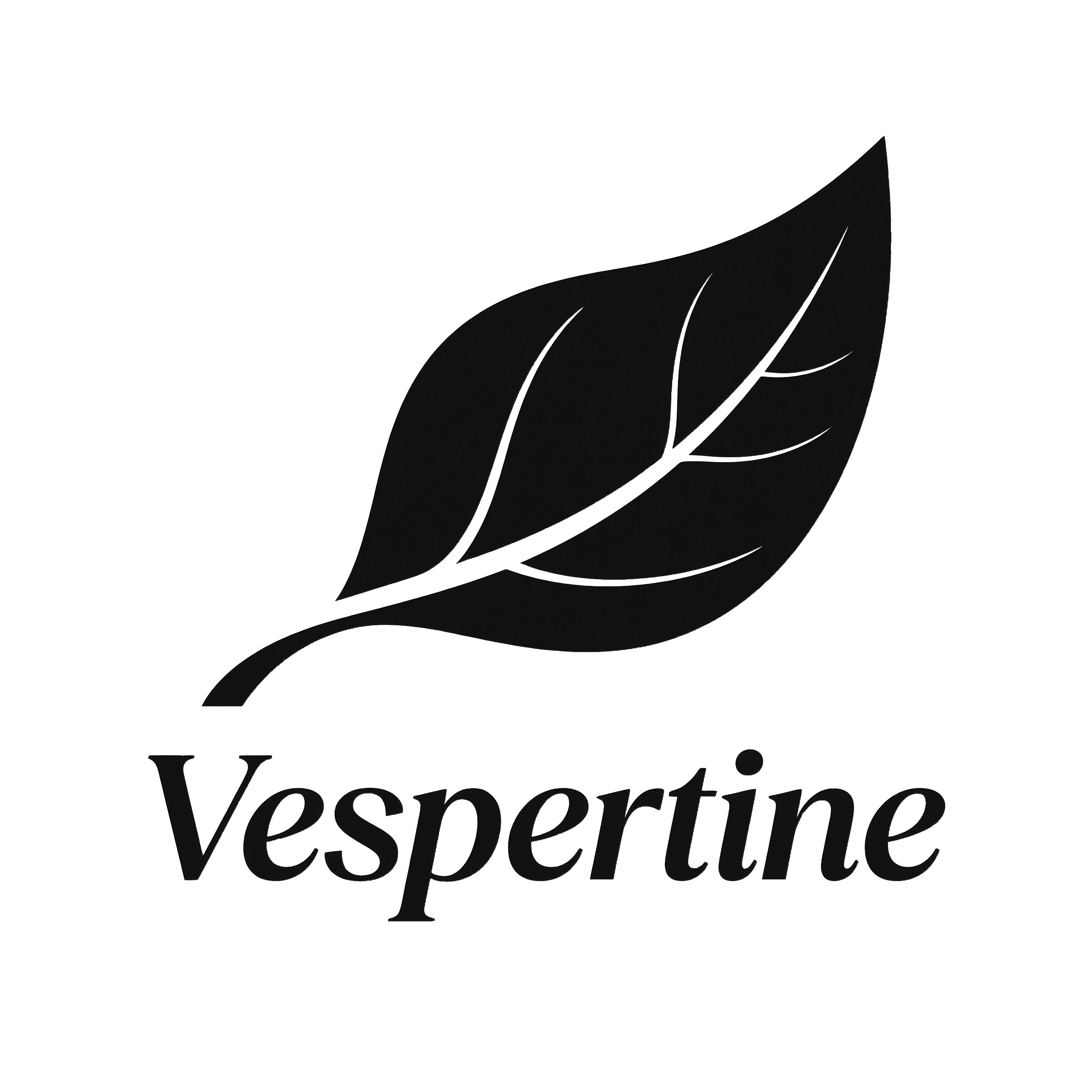 Vespertine欧美小众家居服