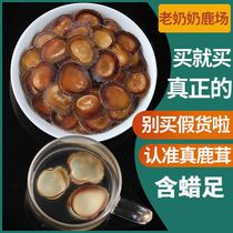 Old Granny Deer Farm Special Antler Half Wax Film Protagonist Dry Sheet Latte Jilin Luxiang Bubble Water Stew Origine