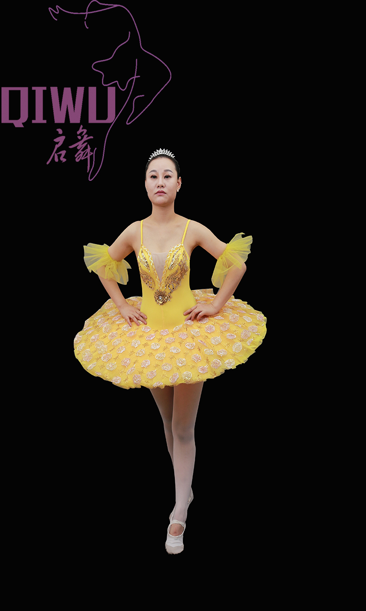 Foreign trade original single adult children's three-dimensional flower embroidery ballet TUTU skirt nine layers of yarn