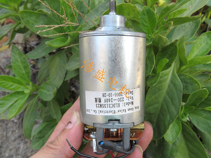 220V DC motor high power high speed carbon brush motor electric oven soybean milk machine motor can generate electricity