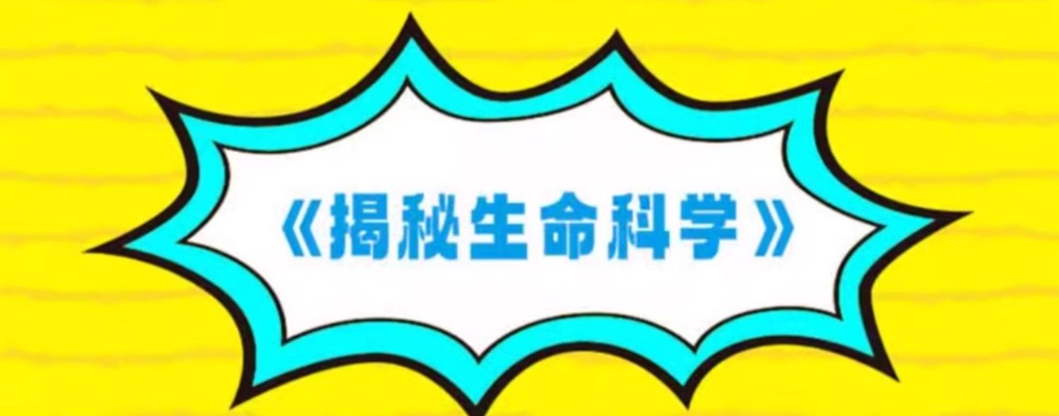 秒懂未来科技/全6册 全彩漫画培养孩子的创新科学