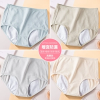 Удобные полосы C Группа C-Blue+Green+Grey+цвет кожи