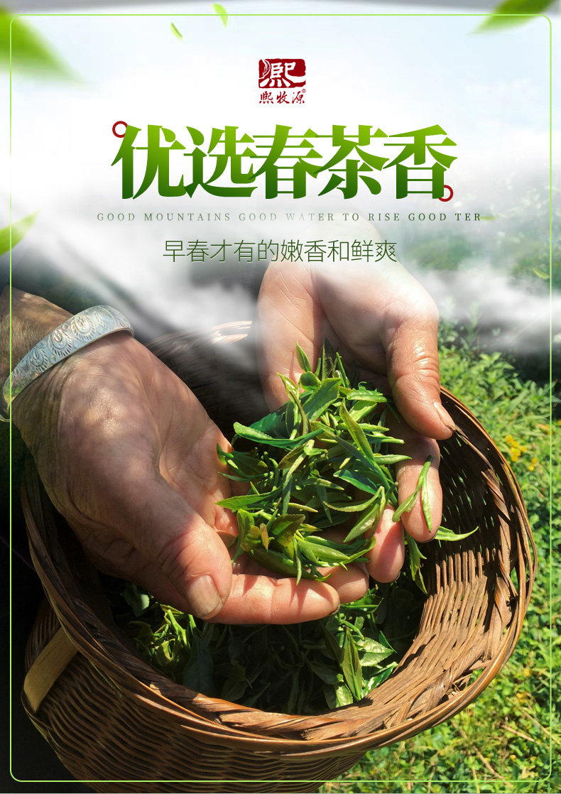 熙牧源 2020新茶 碧螺春 明前嫩芽绿茶 125g/罐 图3