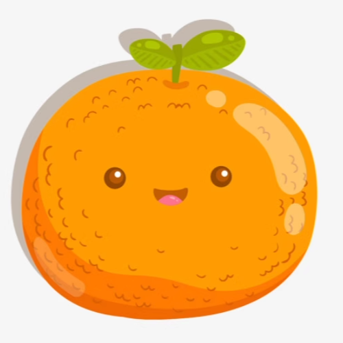 一粒小橙子