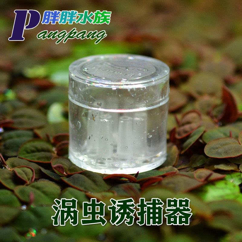 Acrylic planarian trap aquarium snail remover leech leech snail catcher grass tank