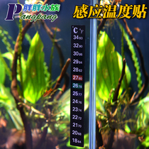 Sensing temperature paste fish liquid crystal water temperature meter tropical fish electronic water temperature instrument fish tank aquarium thermometry