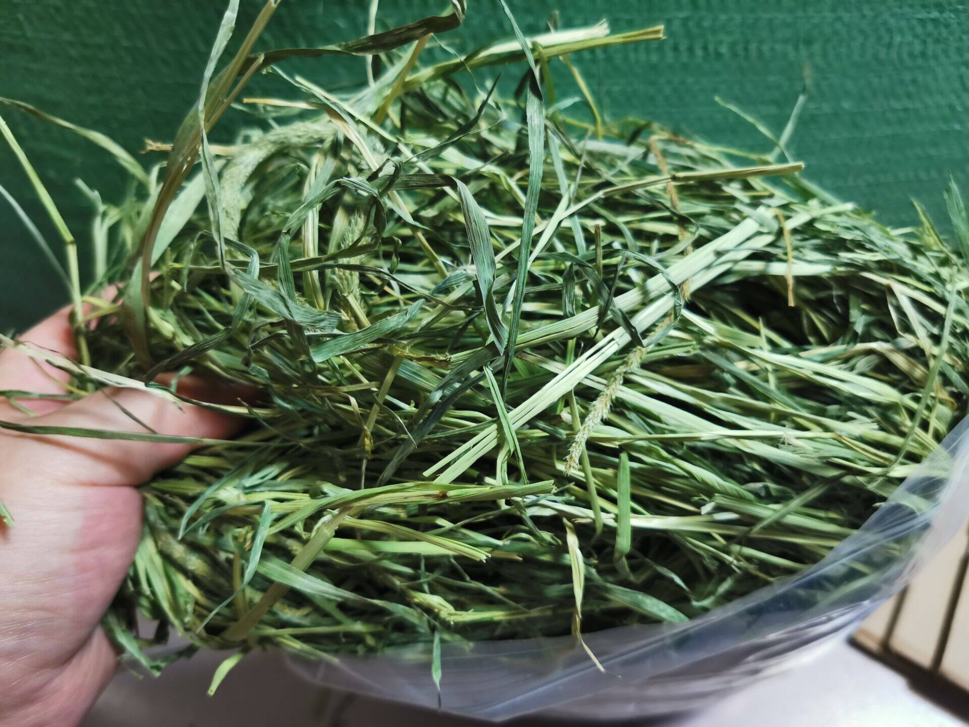 Spot 21 years sun drying State Tibei ti Moshe Grass Dragon Cat Rabbit Dry Grass Grinding Tooth 1 kg Two bags per bag