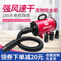 Chunzhou pet cat and dog blowing high power silent large medium small universal long hair golden hair Teddy quick-drying water blower