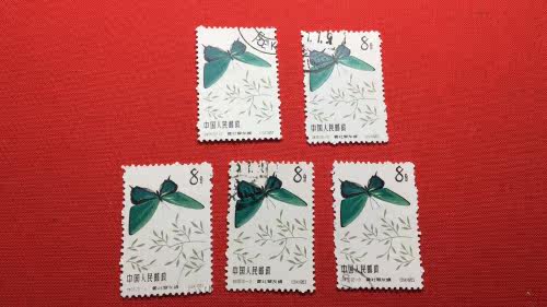 Special 56 butterfly 20-10 cover pin on random sale of single price