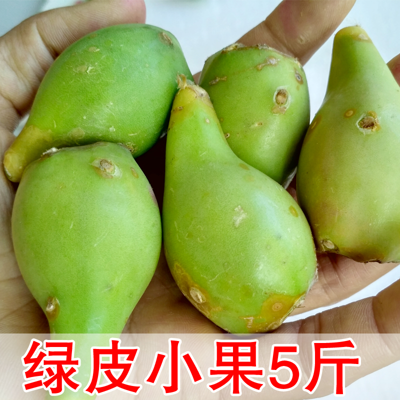 Wild Cactus Fruit Cactus Health Now pick 5 kg of green - skin mini fruit