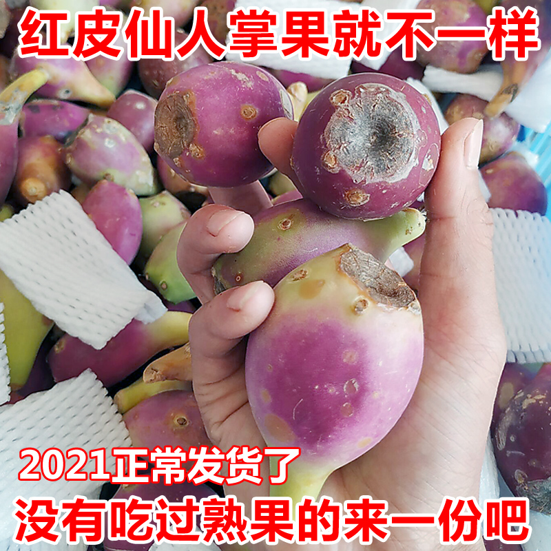 2021 Cactus Fruits Wild Cactus Fruits Red Peel Size Fruits One and a half of Hainan