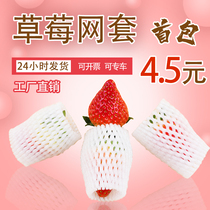 Loquat Mesh Sleeve Wholesale Shockproof Protection Fruit Foam Mesh Poche Anti-Bump Emballage Apple Pear Orange Bagging Mesh Sleeve