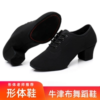 Туфли, танцующая обувь, балетки, ткань оксфорд, мягкая подошва