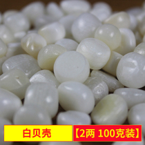 Natural white shells seven gems for Buddha mantra Buddhist hall supplies bulk vase for Buddha 2 taels 100g pack