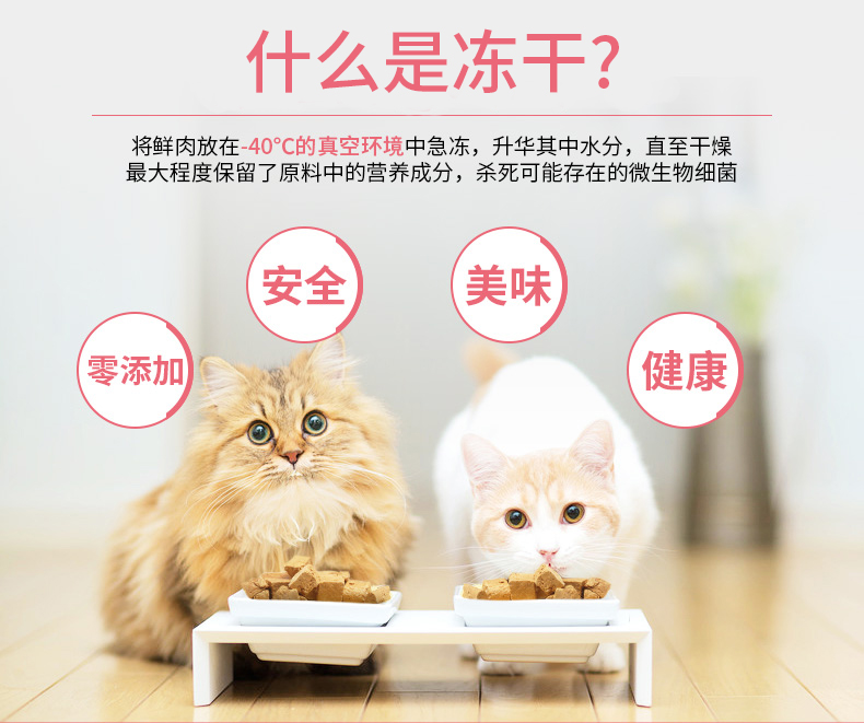 Mai Fudi mèo ăn nhẹ thịt tươi đông khô 54g thành mèo nhỏ ăn nhẹ làm đẹp ngắn tiếng Anh gà ngắn đông lạnh thú cưng thức ăn cho mèo royal canin